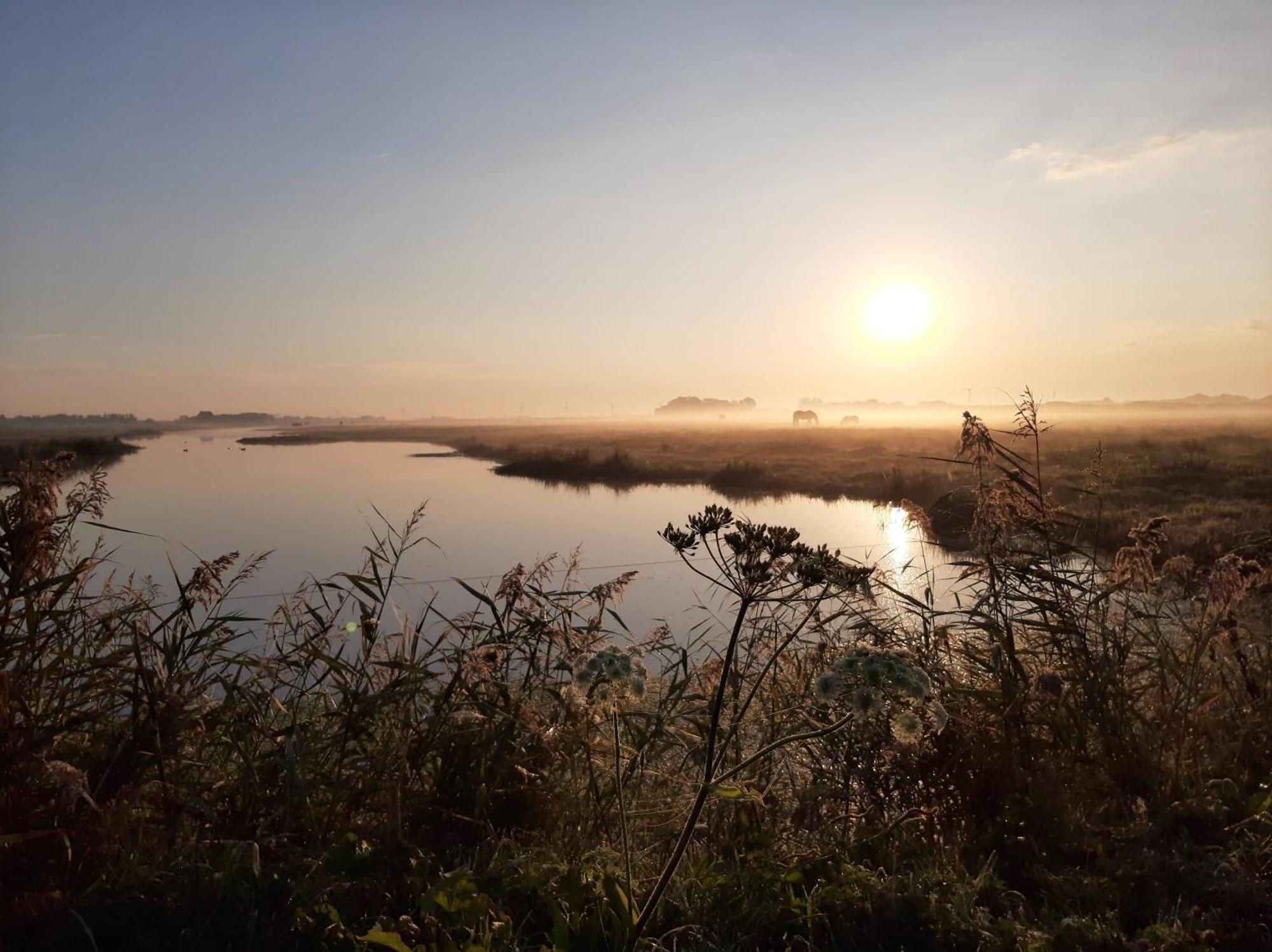 Zoute Bries, In Natuurgebied En Vlakbij Het Strand คัลลันท์สโอก ภายนอก รูปภาพ